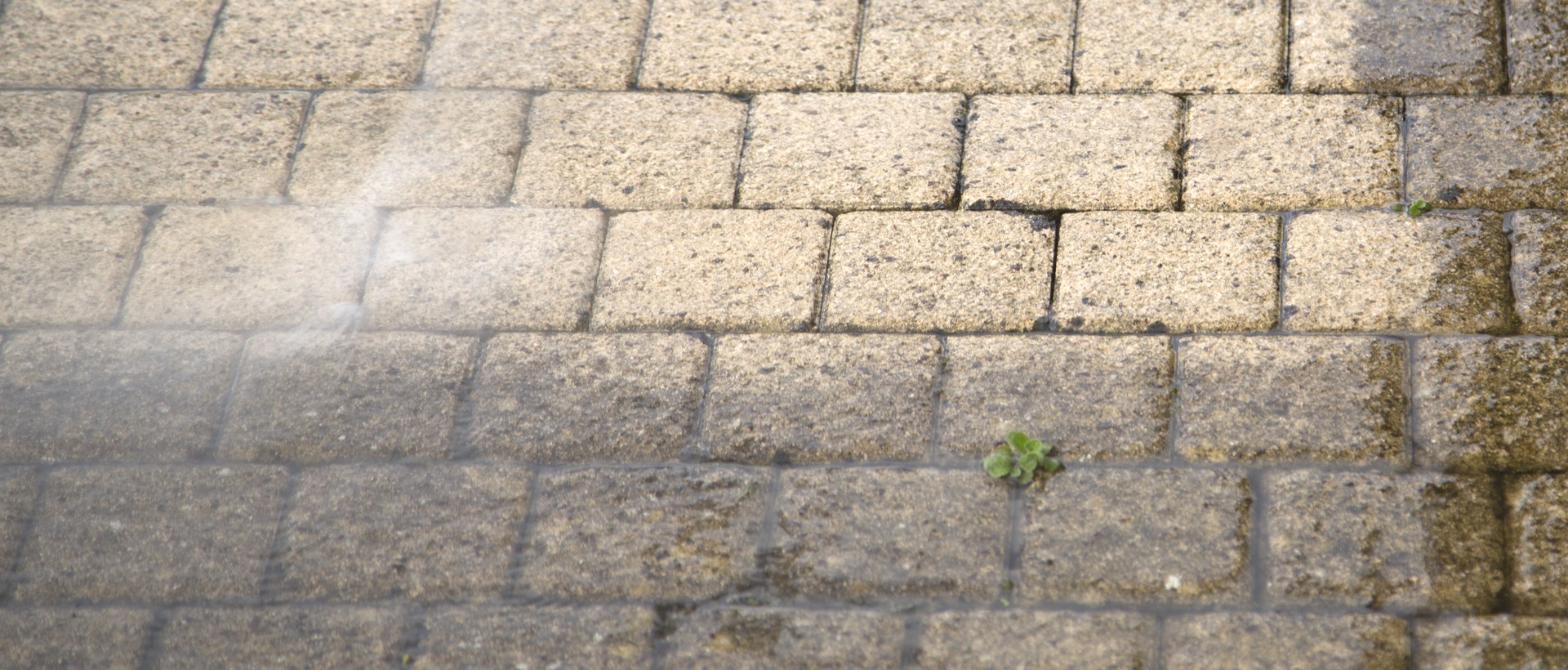 flagging and patios SE26