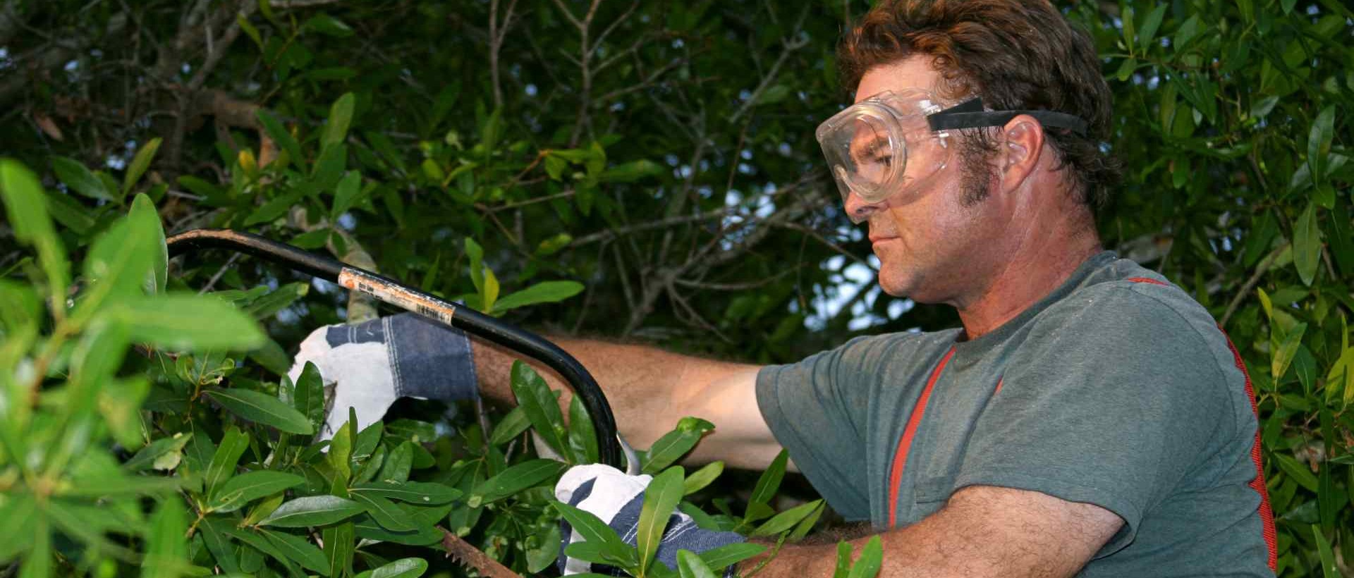 garden clearance SE26